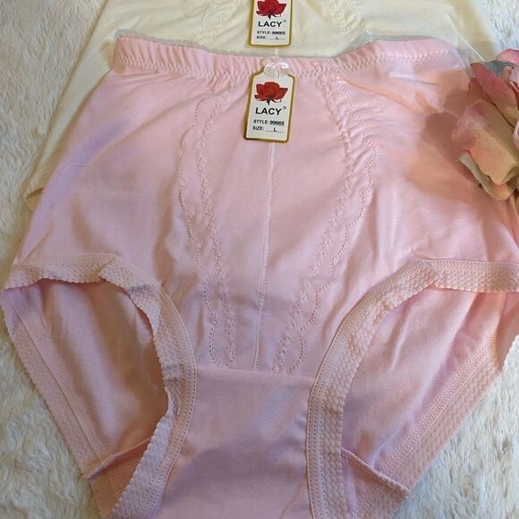 💥Lacy assorted panties  high waist Briefs Size L - Picture 6 of 13